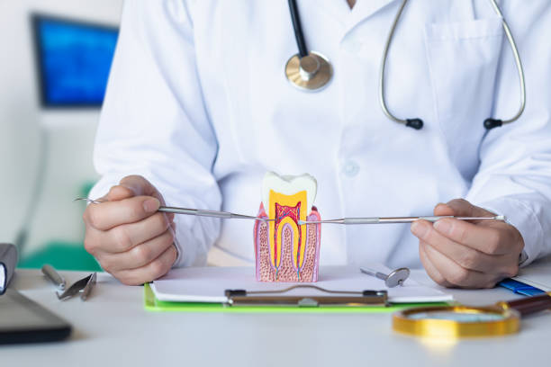 Best Emergency Treatment for Oral Infections in Union, OH
